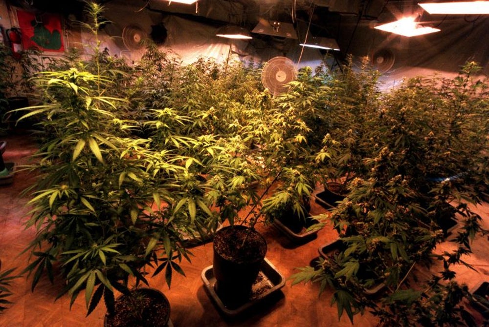 California legalizes medical marijuana in 1996.