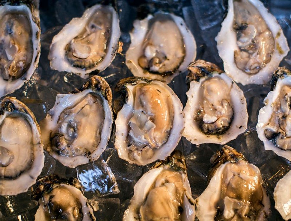 Oysters