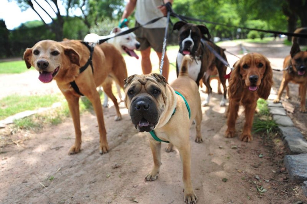 Expanding your "kennel"