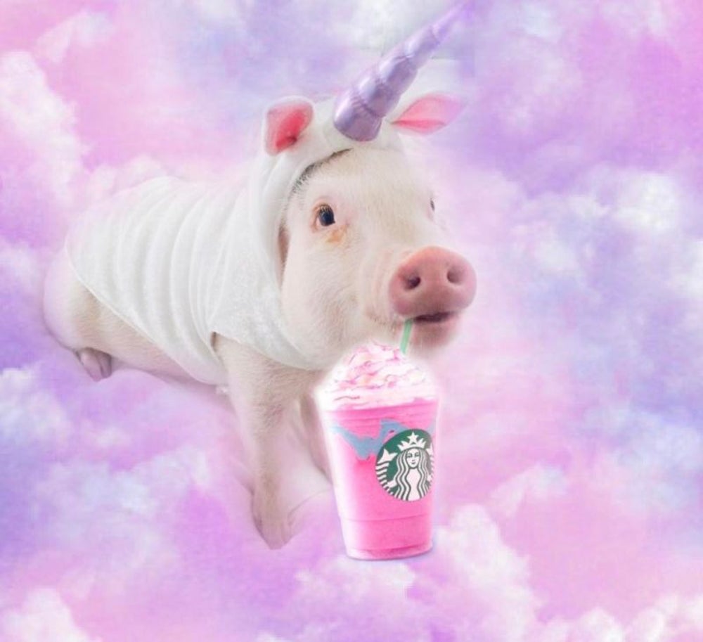 It’s all the rage … #UnicornFrappuccino