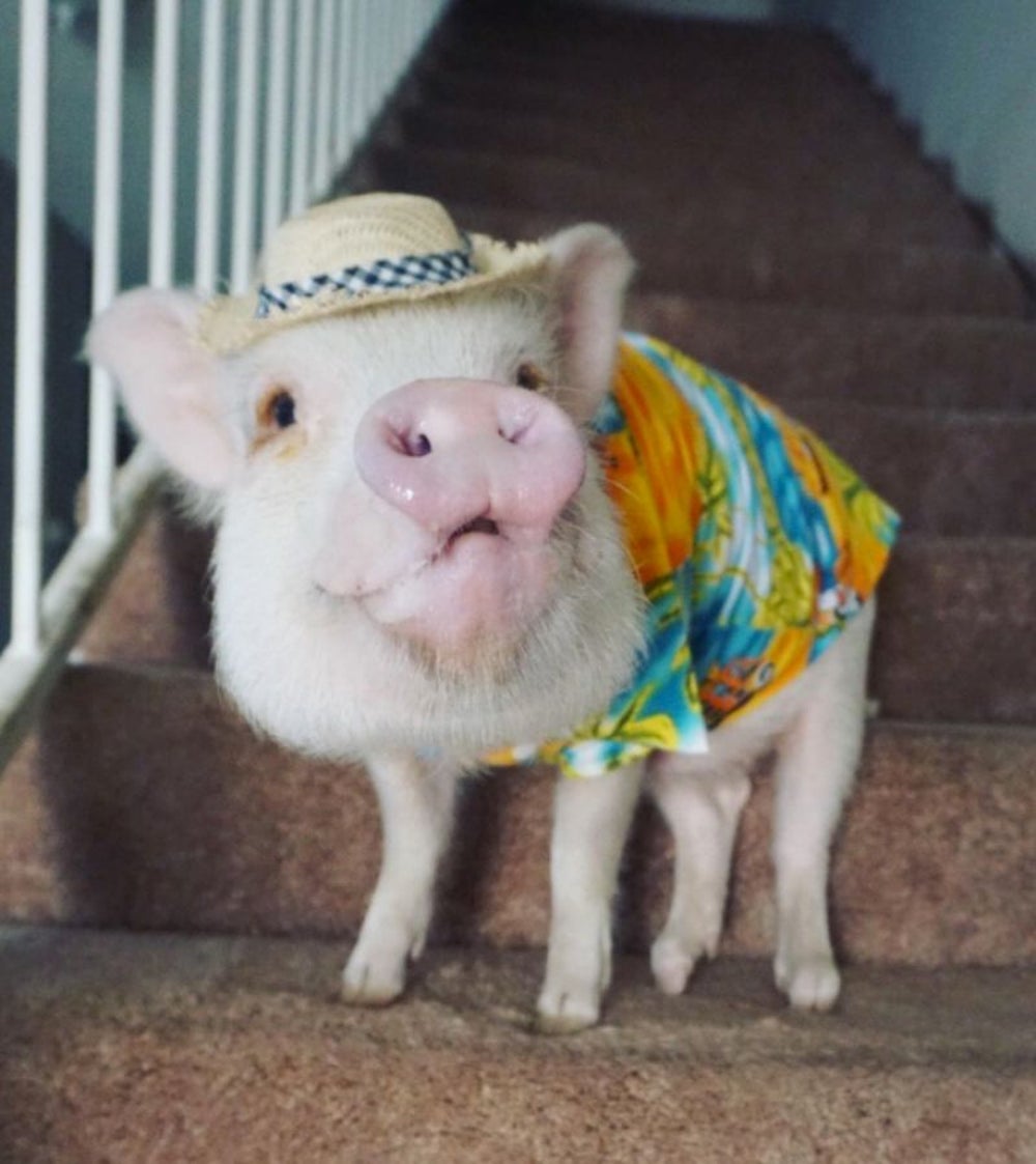 Feelin' pretty dapper