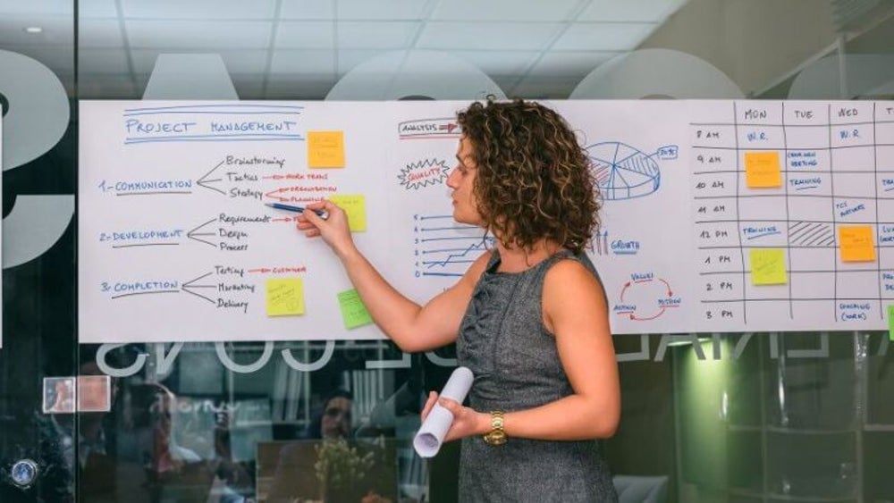 Project management