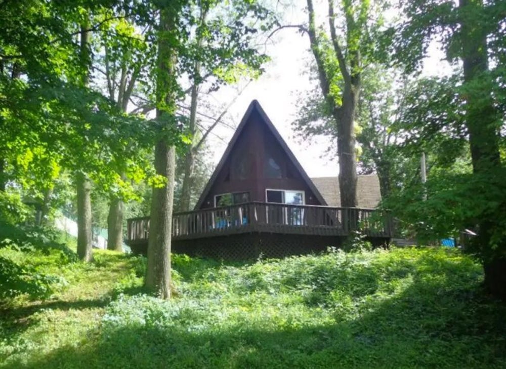 A dog lover's retreat
