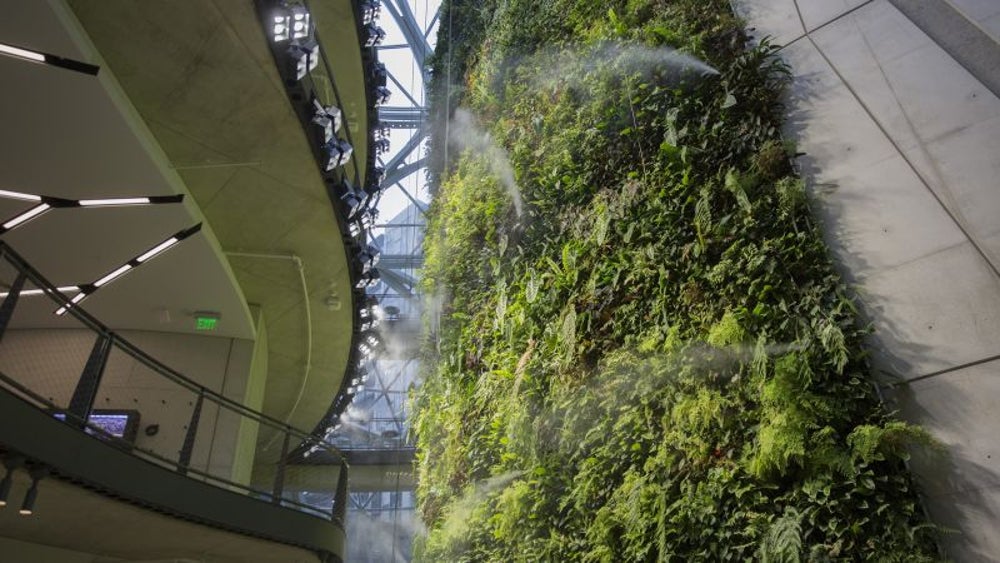 Take A Look Inside Amazon S New Rainforest Office Space