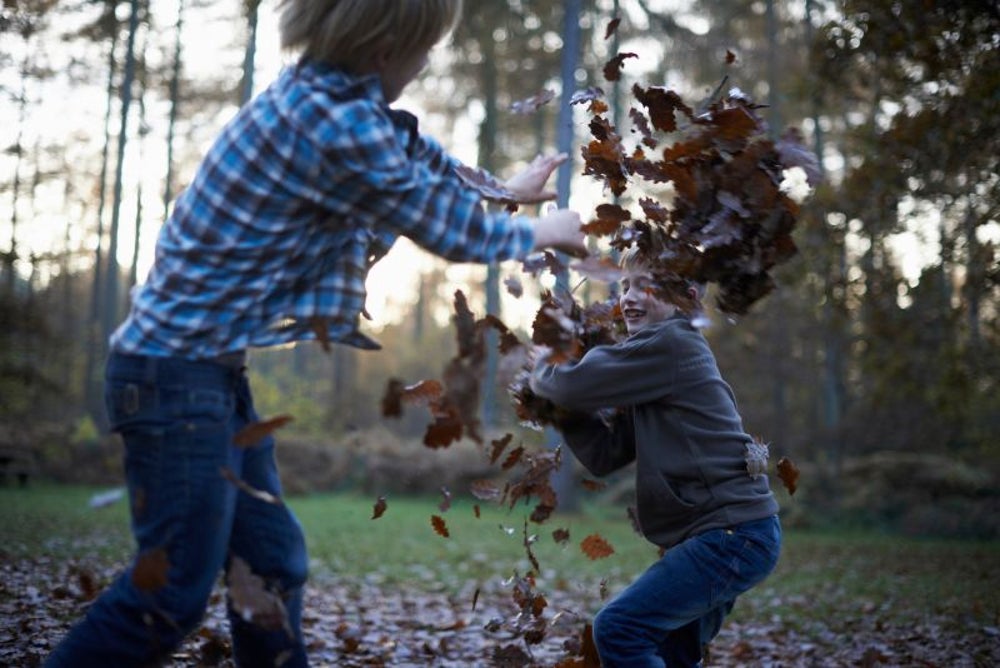 Your political views are influenced by your personality traits as a child.