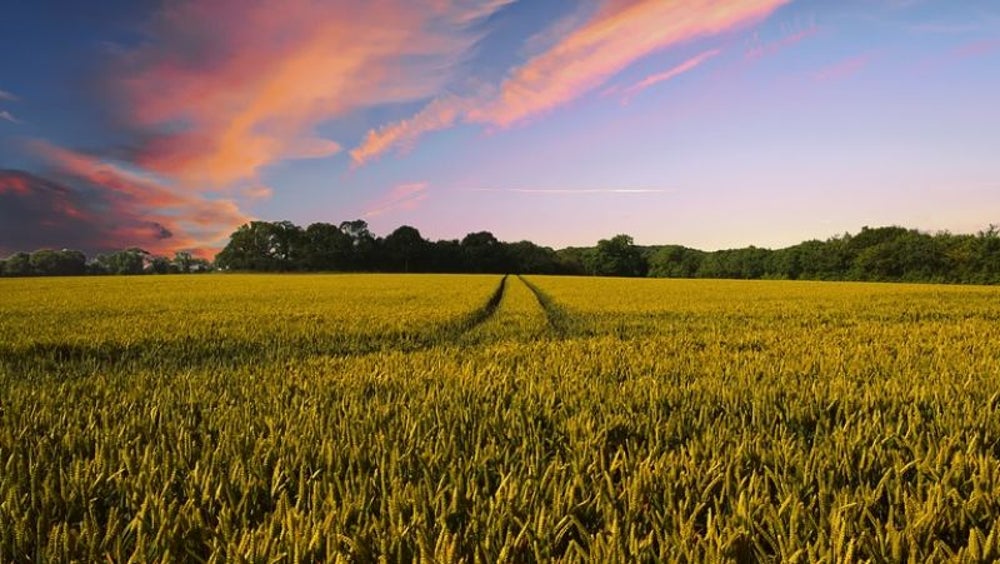 Agriculture