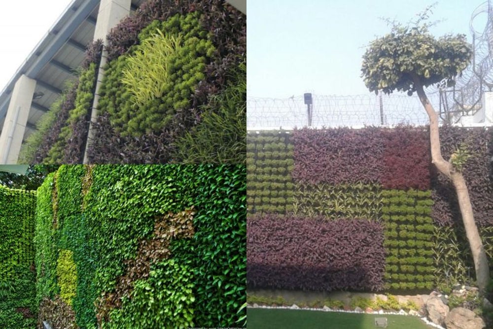 Lifewall
