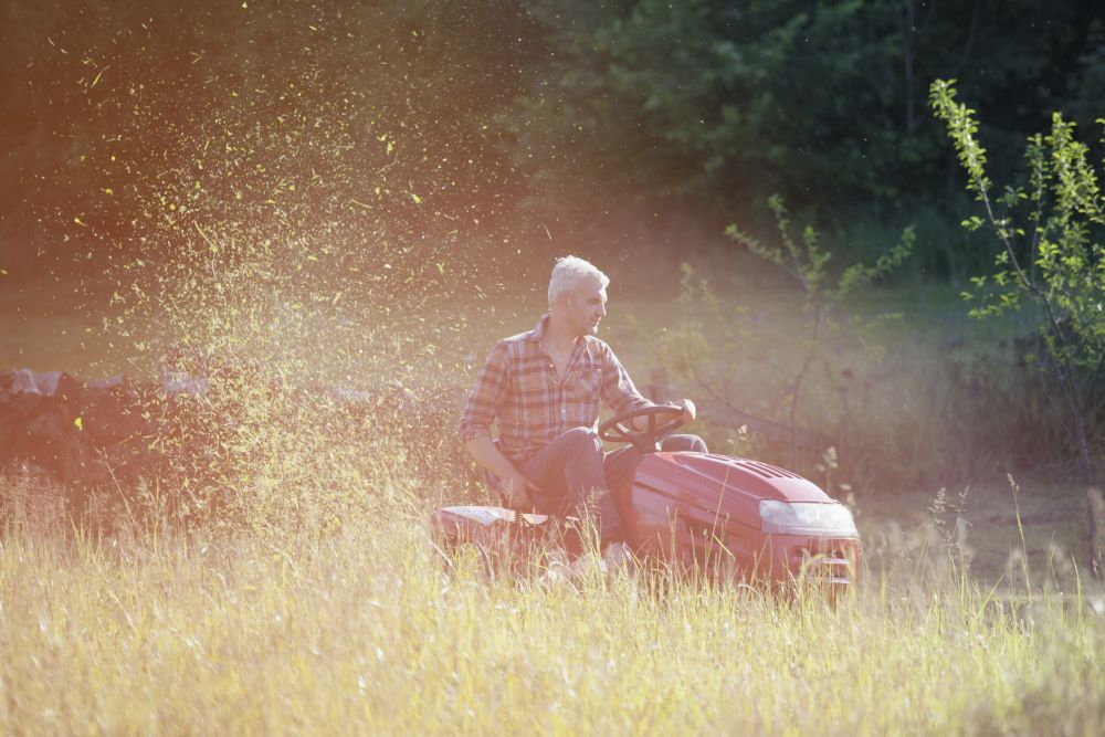 Business idea: Lawn care