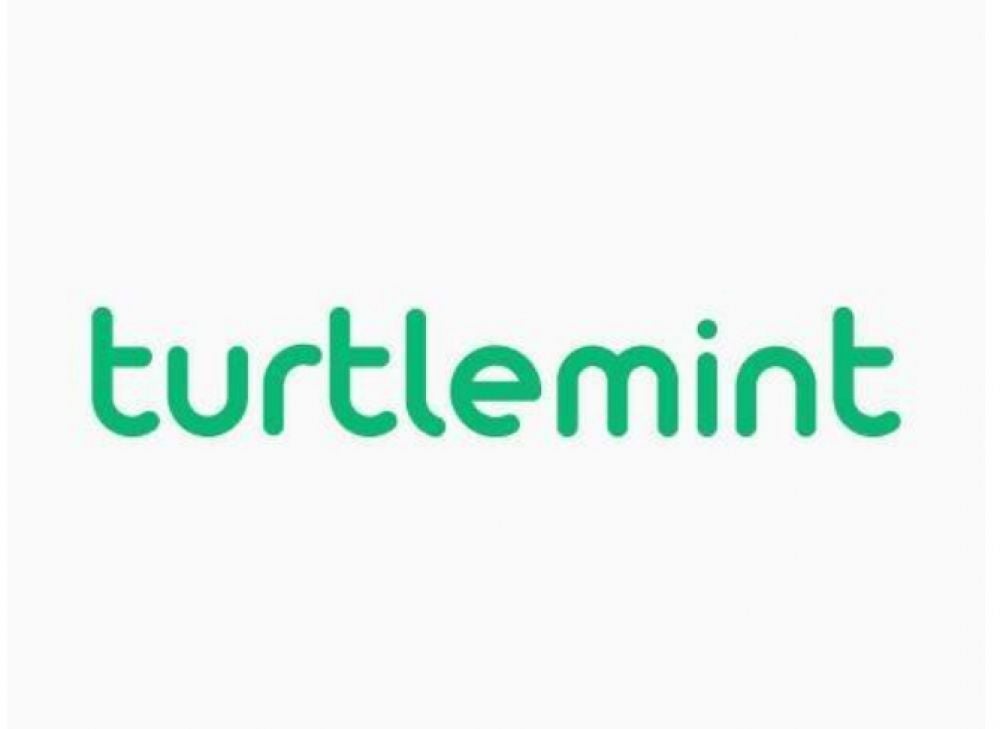 Turtlemint