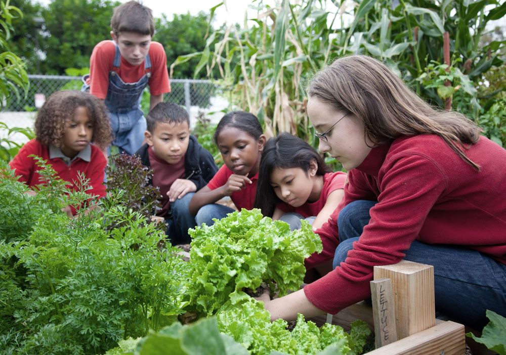 Side-Hustle 16: Teach the community