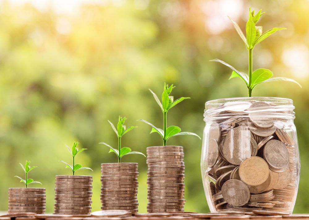 Debt and hybrid funds