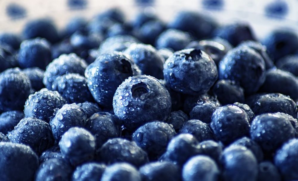 Blueberries