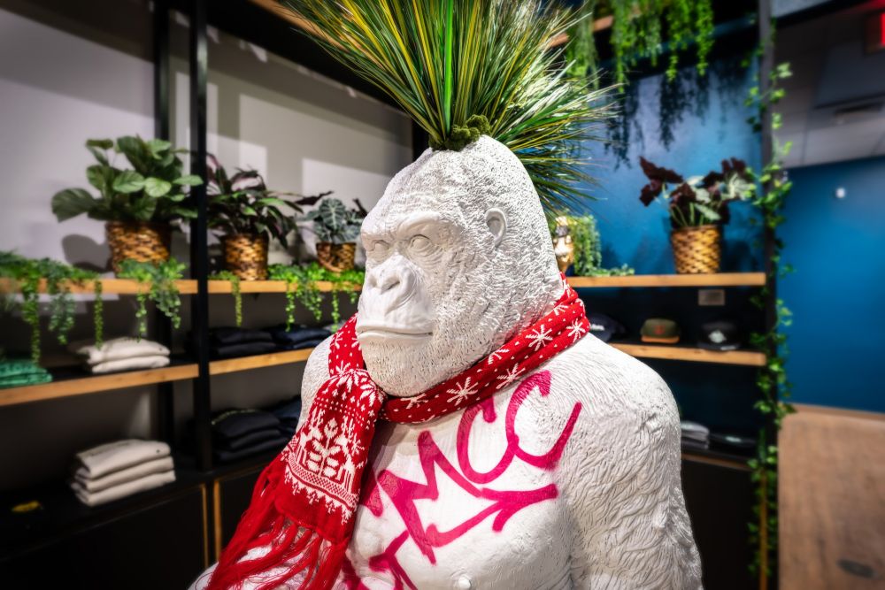 The literal Grass Monkey welcomes you
