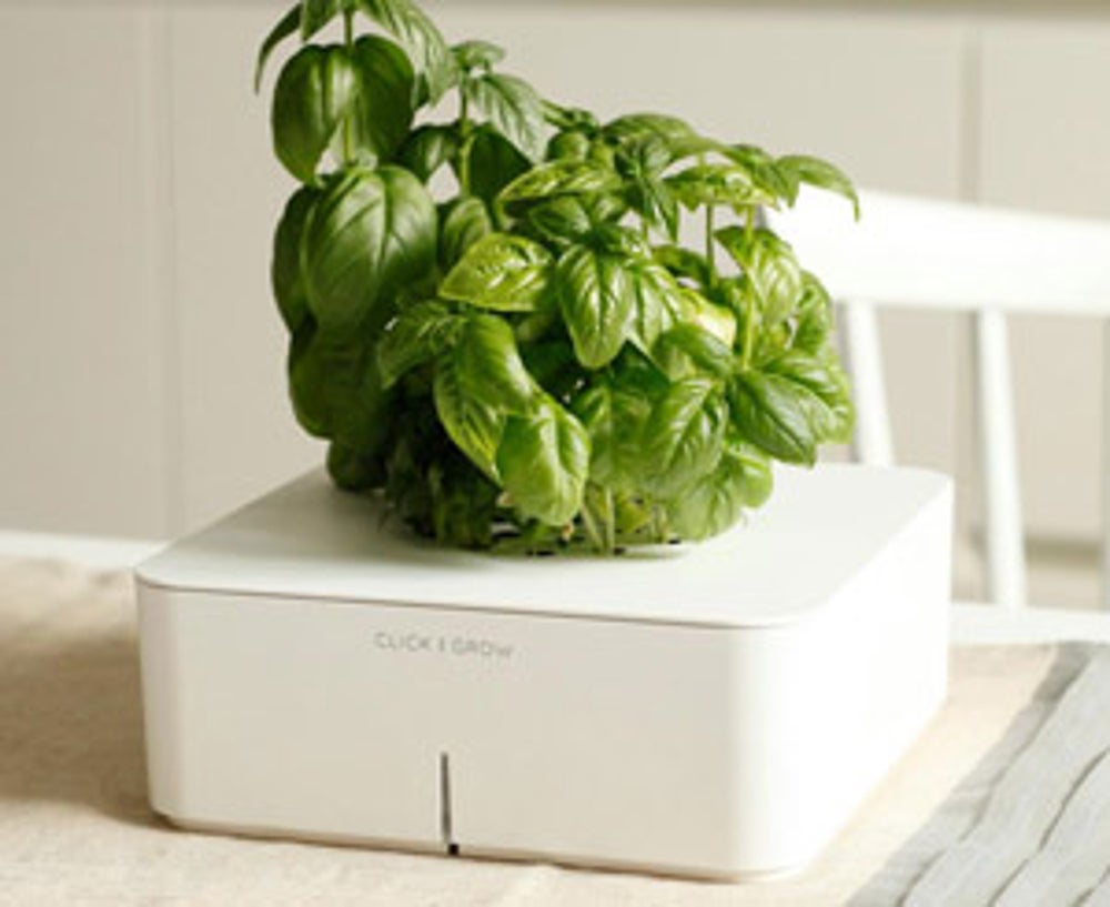 Click & Grow Electronic Smartpot