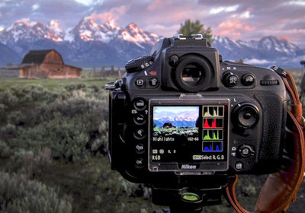 The higher the megapixels, the better the camera.