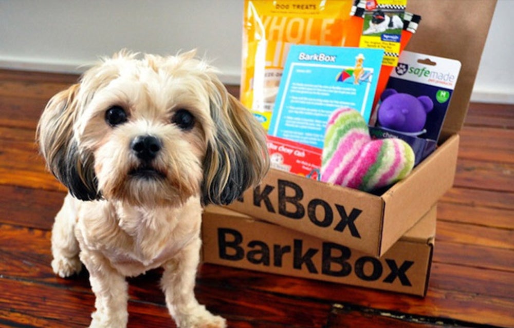 Dog Treats
