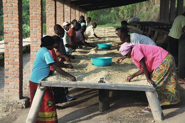 Making a Business of Premium Coffee for Premium Social Impact