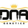 DNA genetics