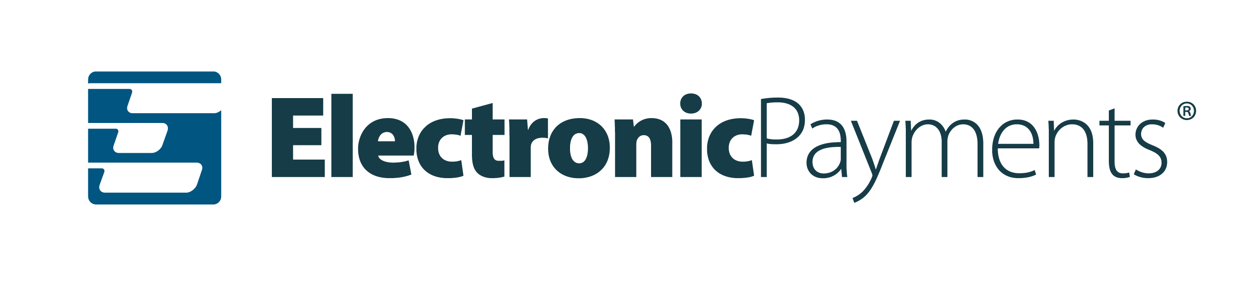 Electronic Payments Entrepreneur Company Profile