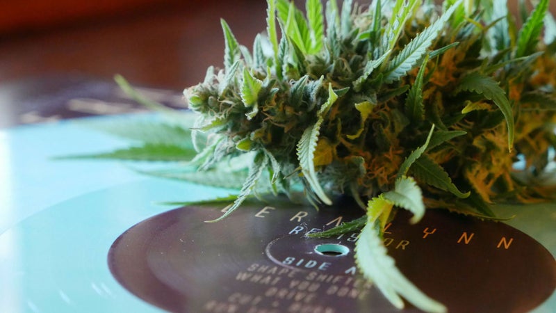 HiFi Farms