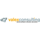 Valex Consulting, Inc.