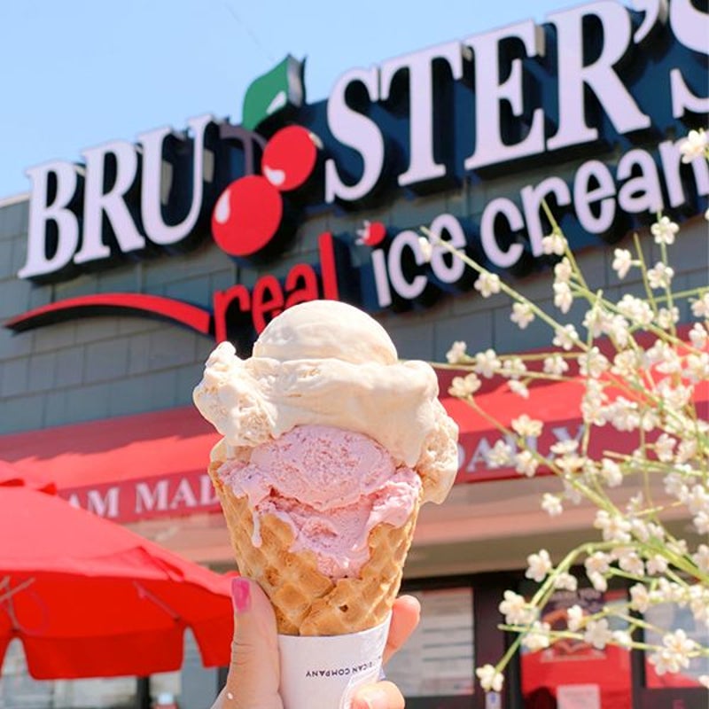 bruster's real ice cream franchise