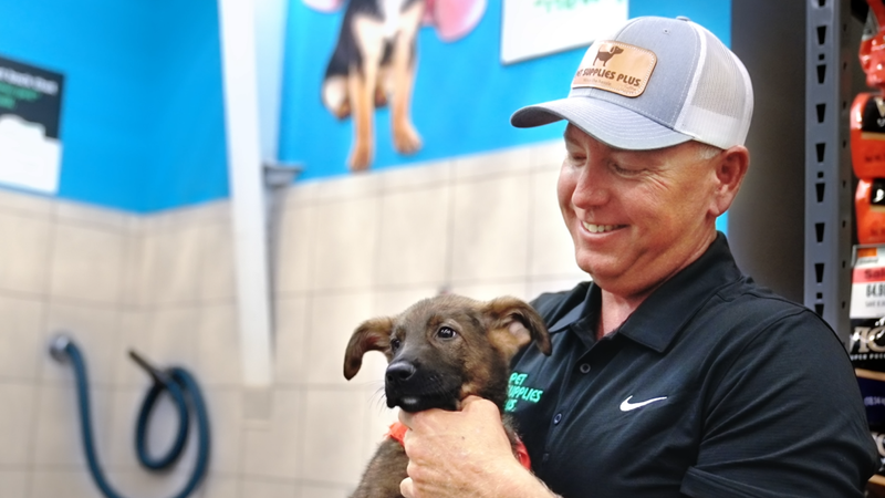 Who are we looking for?